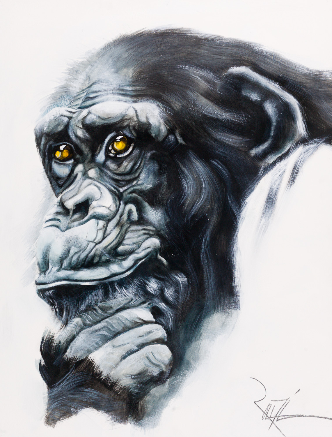 Galerie Primates